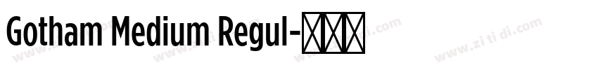 Gotham Medium Regul字体转换